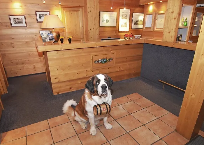 Hotell De L'arve By Happyculture Chamonix